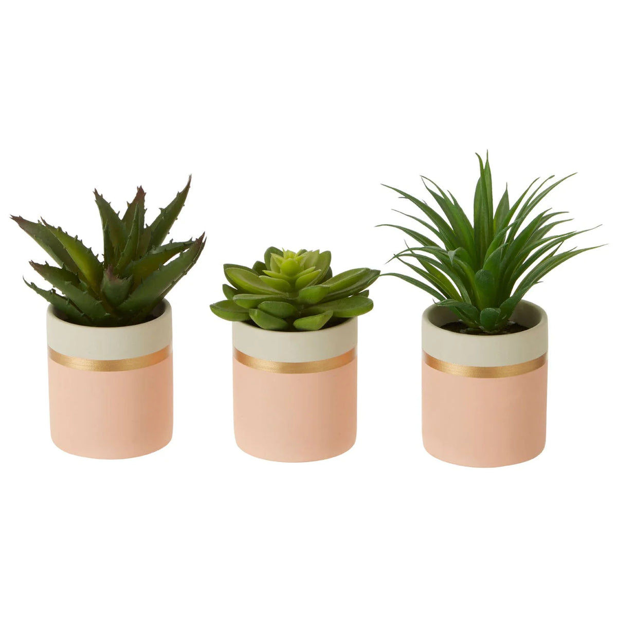 Set of 3 Succulents in Pink Pots