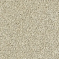 Lusso Carpet