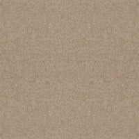 Spectrum Twist Classic 42oz Carpet