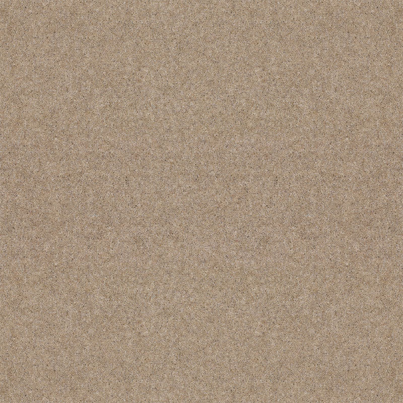 Spectrum Twist Regal 53oz Carpet