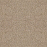 Spectrum Twist Regal 53oz Carpet