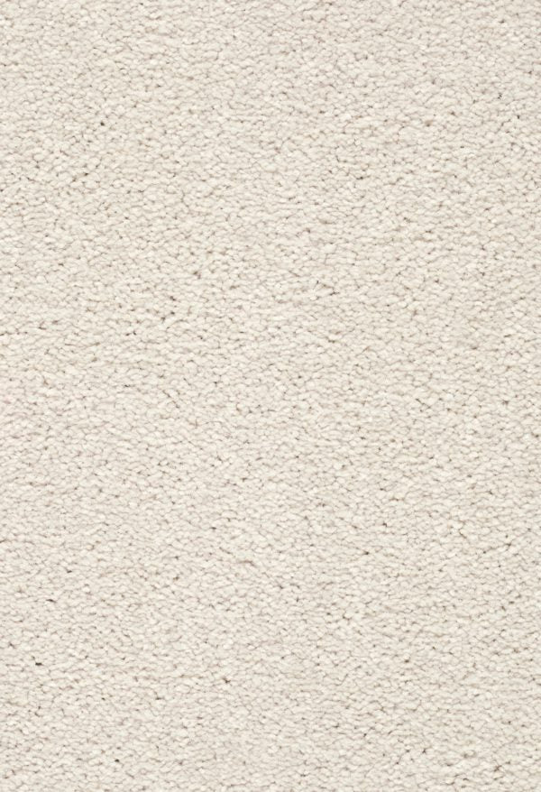 Montreal Deluxe Carpet