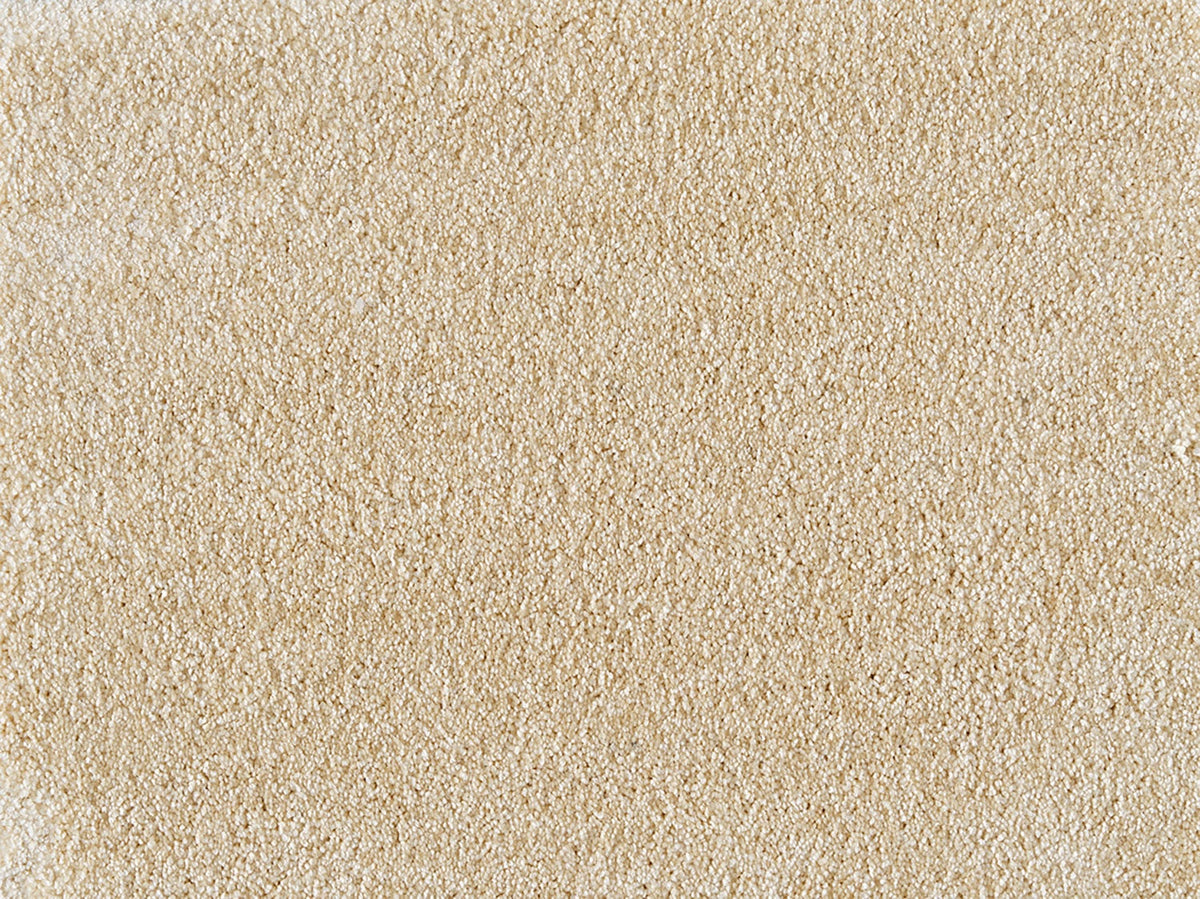Embrace Carpet