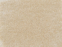 Embrace Carpet