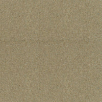 Spectrum Twist Classic 42oz Carpet