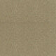 Spectrum Twist Classic 42oz Carpet