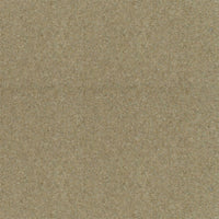 Spectrum Twist Regal 53oz Carpet