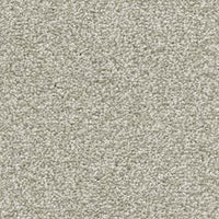 Invictus Darius 50oz Carpet