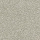 Invictus Darius 50oz Carpet