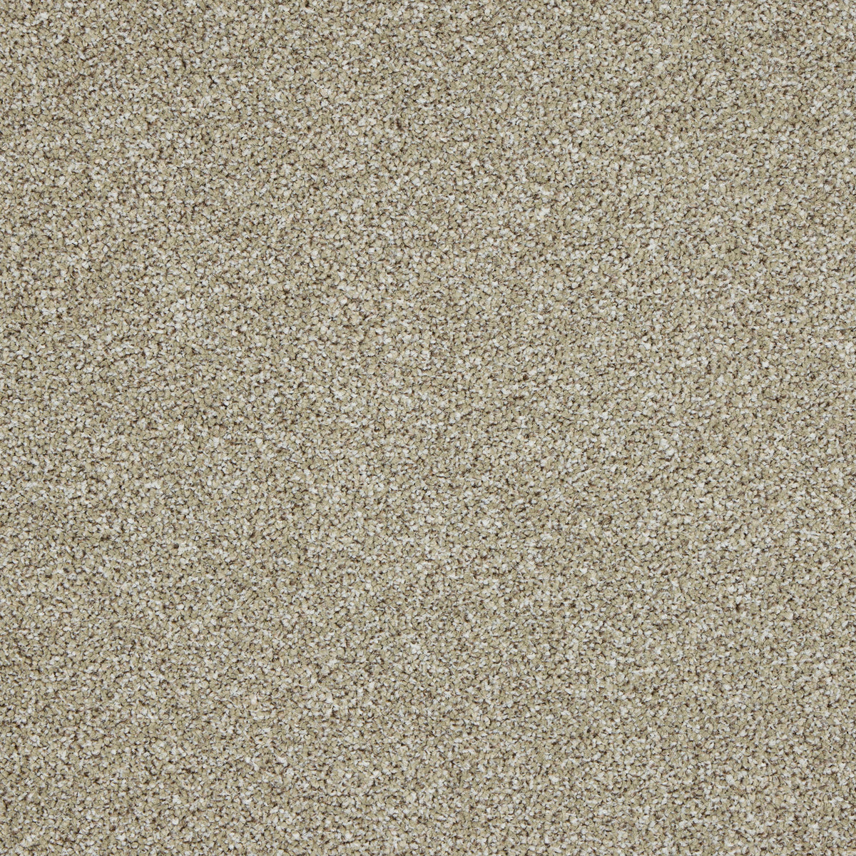 Westbourne Berber Carpet
