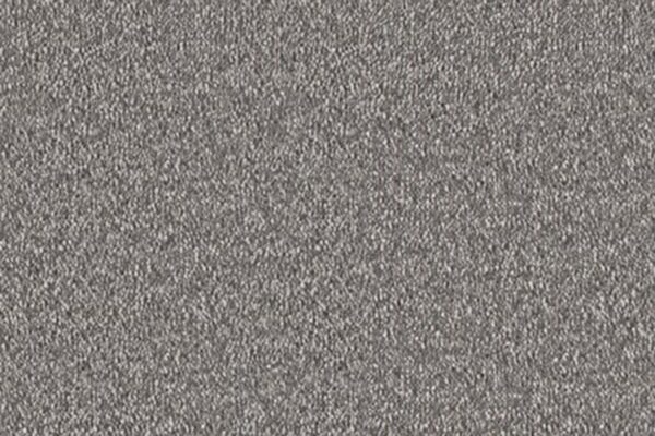 Delight Carpet