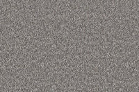 Delight Carpet
