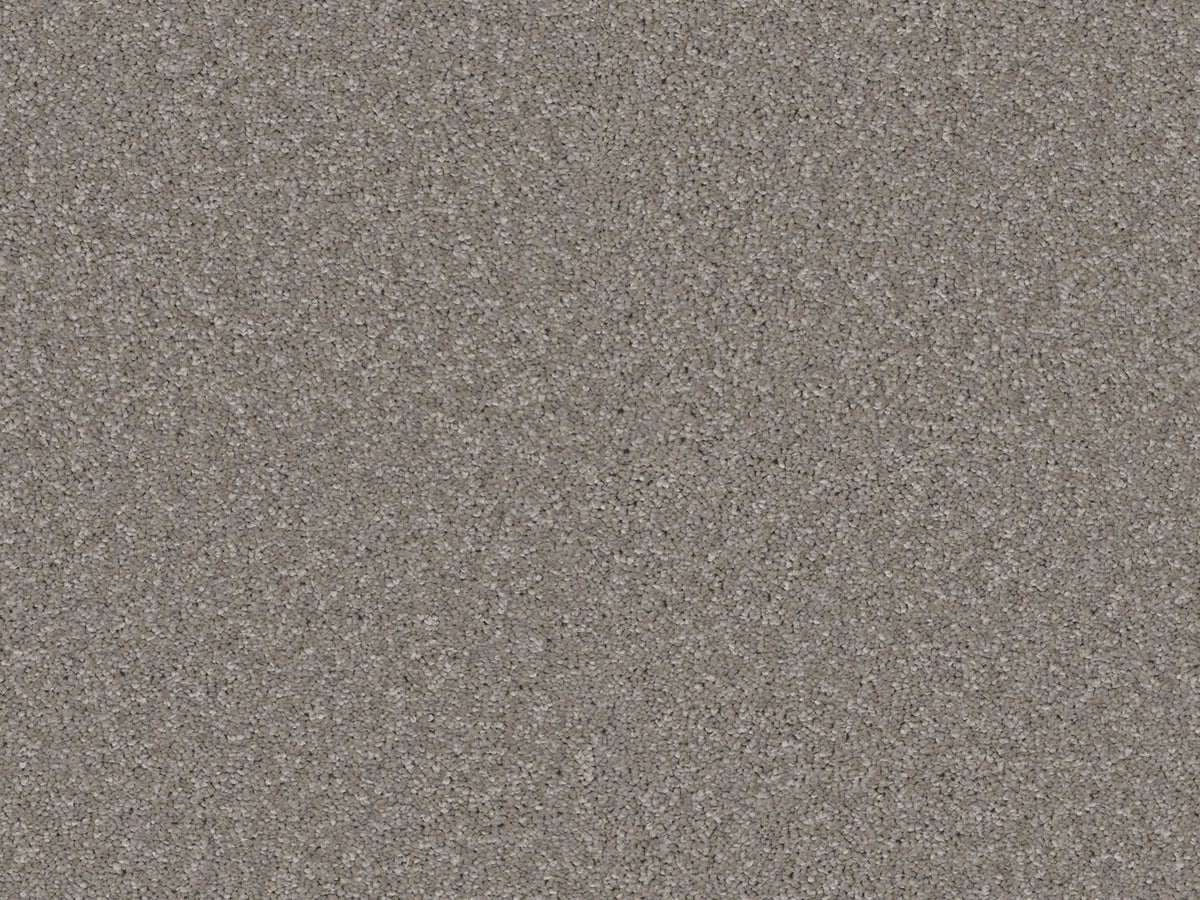 Elegante Carpet