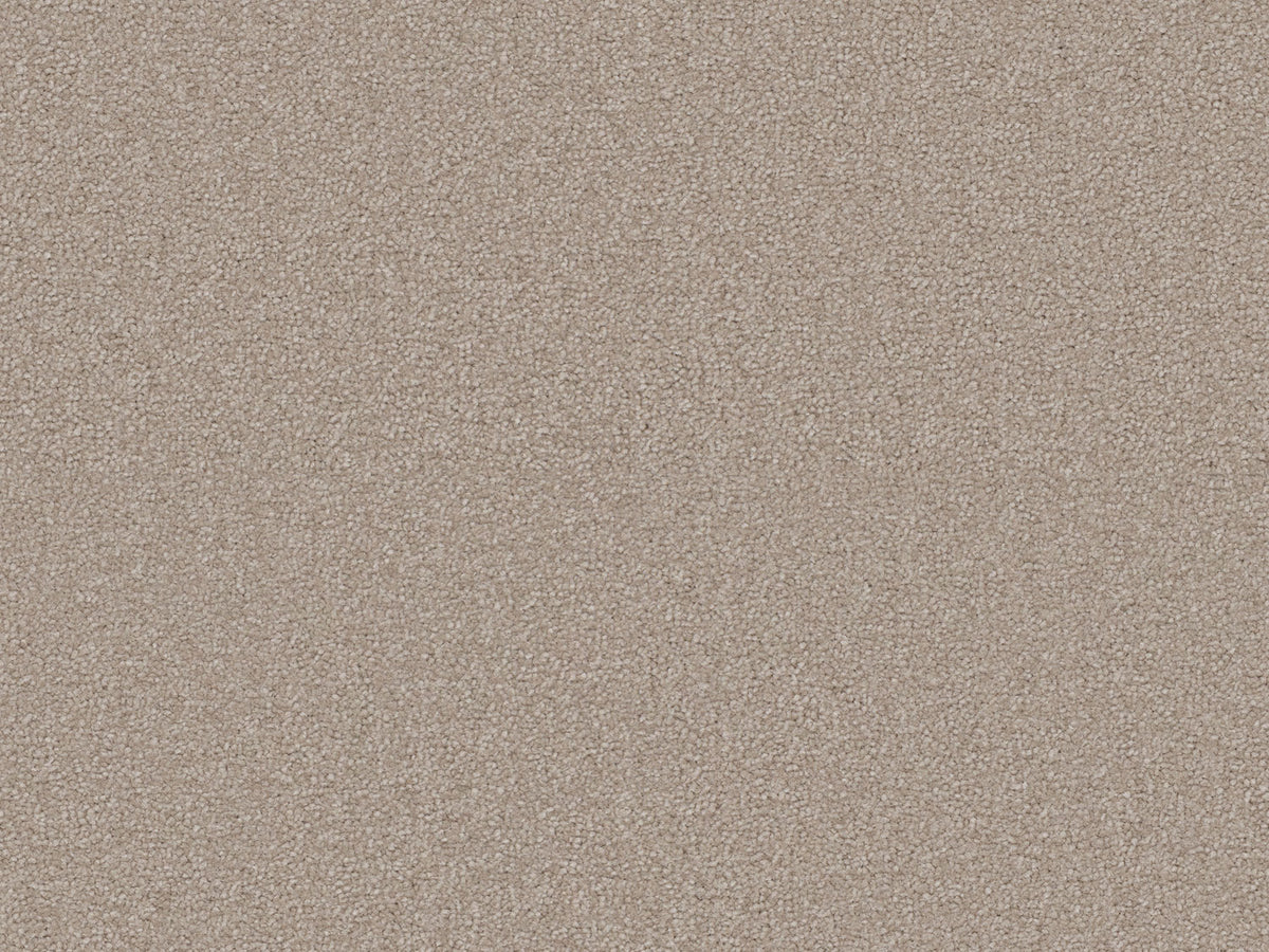 Terra Rosa Carpet