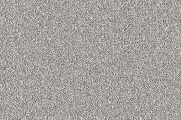Delight Carpet