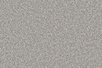 Delight Carpet