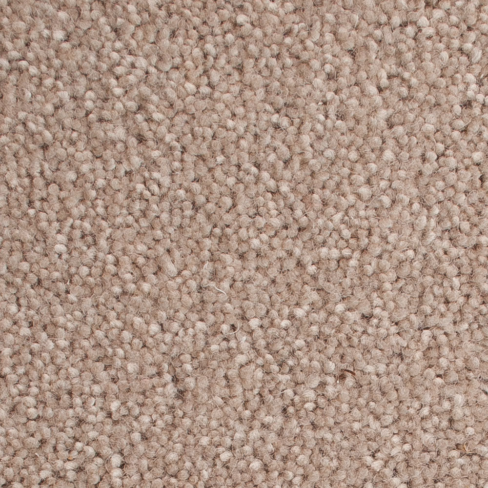 Highgate 50oz Carpet