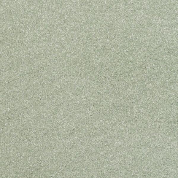 Pinnacle Carpet