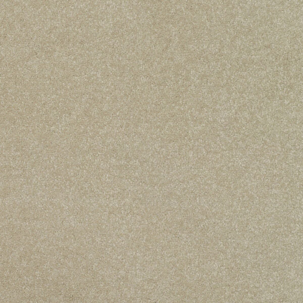 Pinnacle Carpet