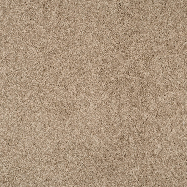 Magical Feeling Carpet