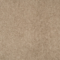 Magical Feeling Carpet