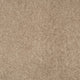 Magical Feeling Carpet
