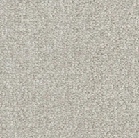 Seta Carpet