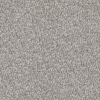 Invictus Severus Carpet