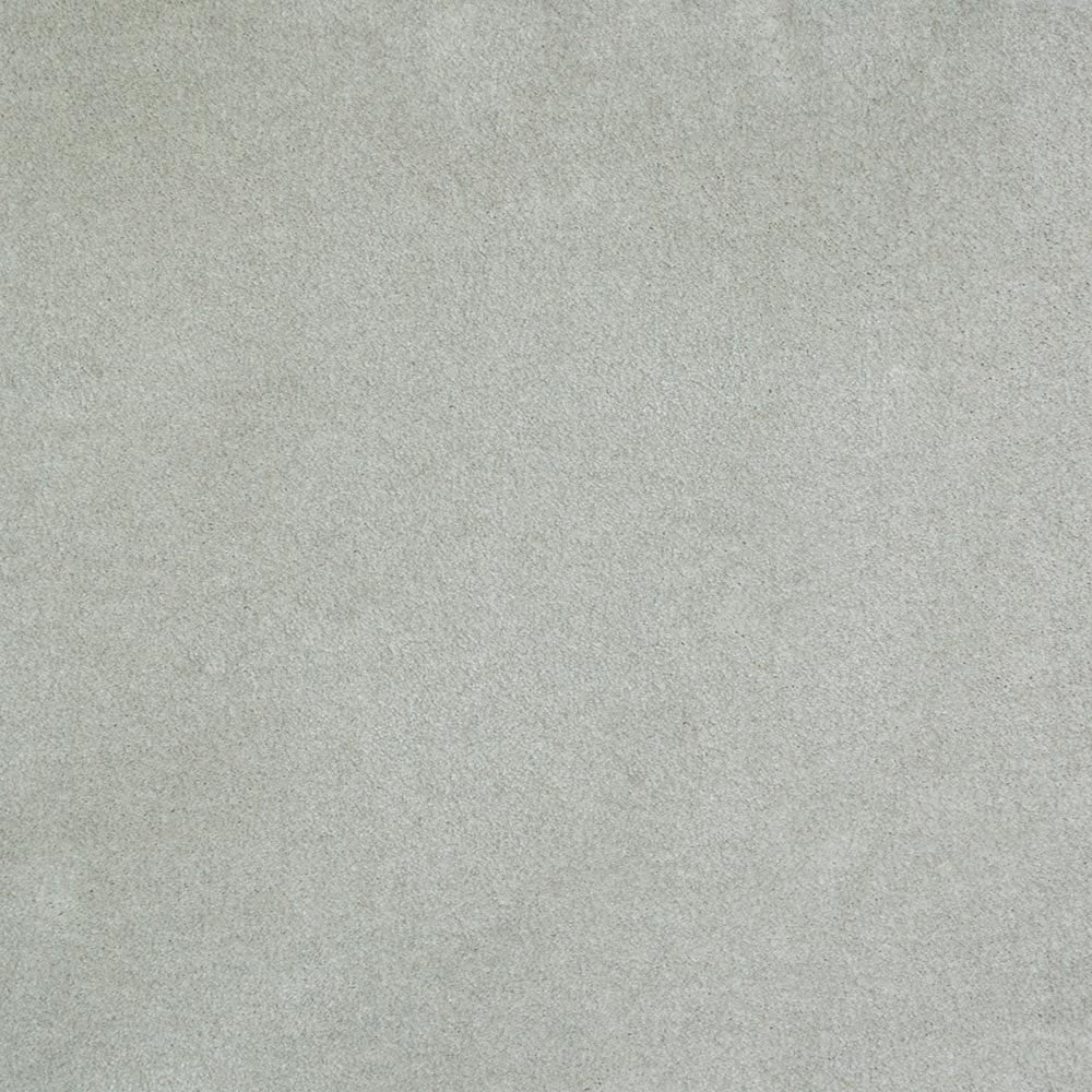 iSense Obsession Carpet