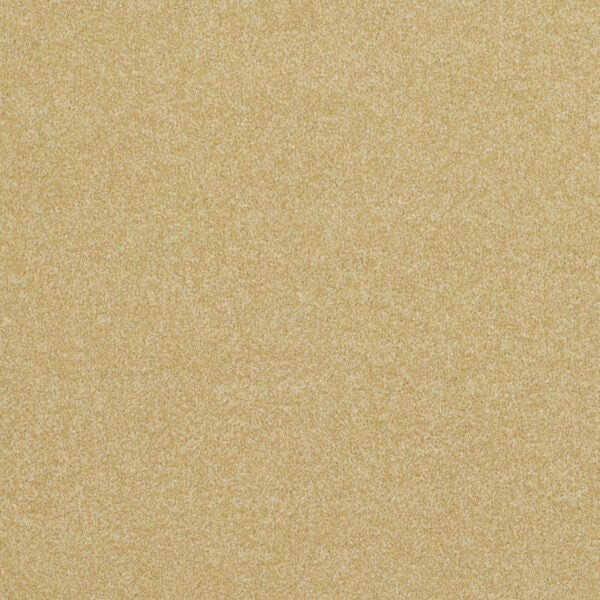 Pinnacle Carpet