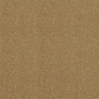 Spectrum Twist Classic 42oz Carpet