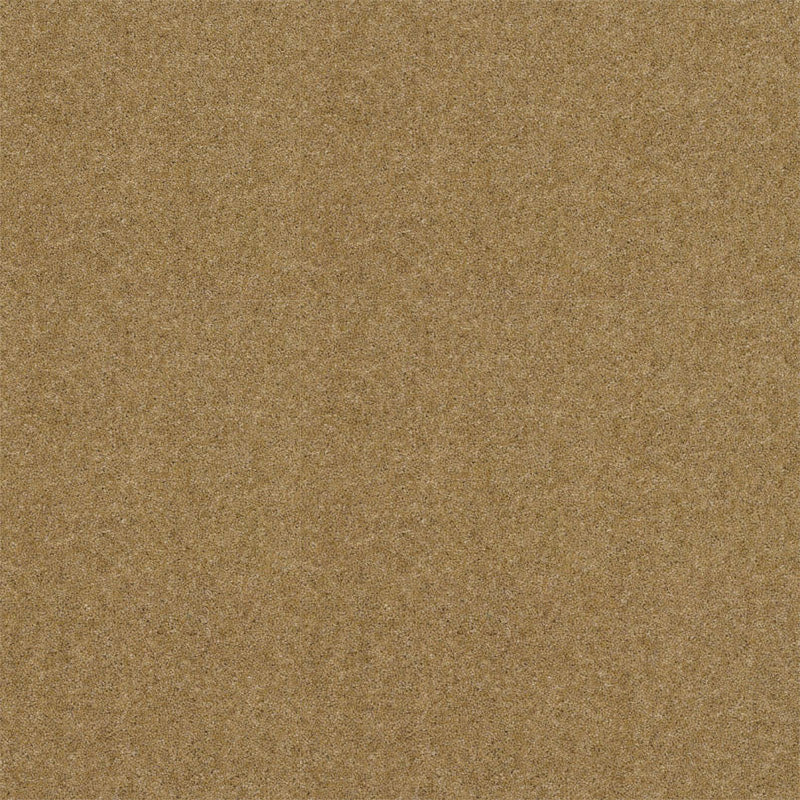 Spectrum Twist Regal 53oz Carpet