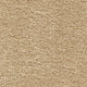 Aurelius Carpet