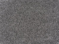 Embrace Carpet