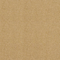 Spectrum Twist Classic 42oz Carpet