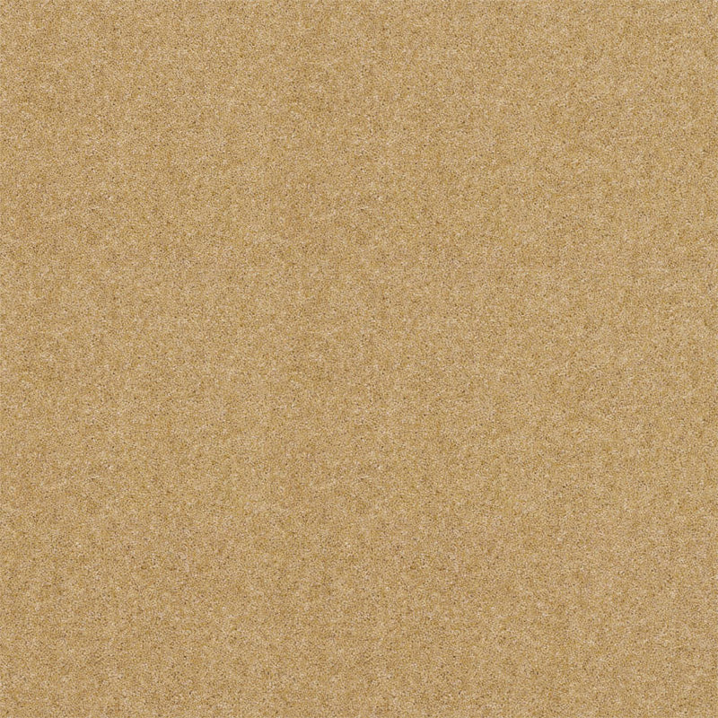 Spectrum Twist Regal 53oz Carpet