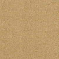 Spectrum Twist Regal 53oz Carpet