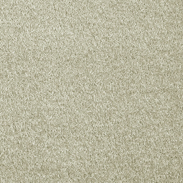 Montreal Deluxe Carpet
