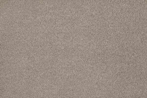 Verviers Carpet