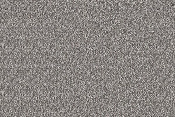 Delight Carpet