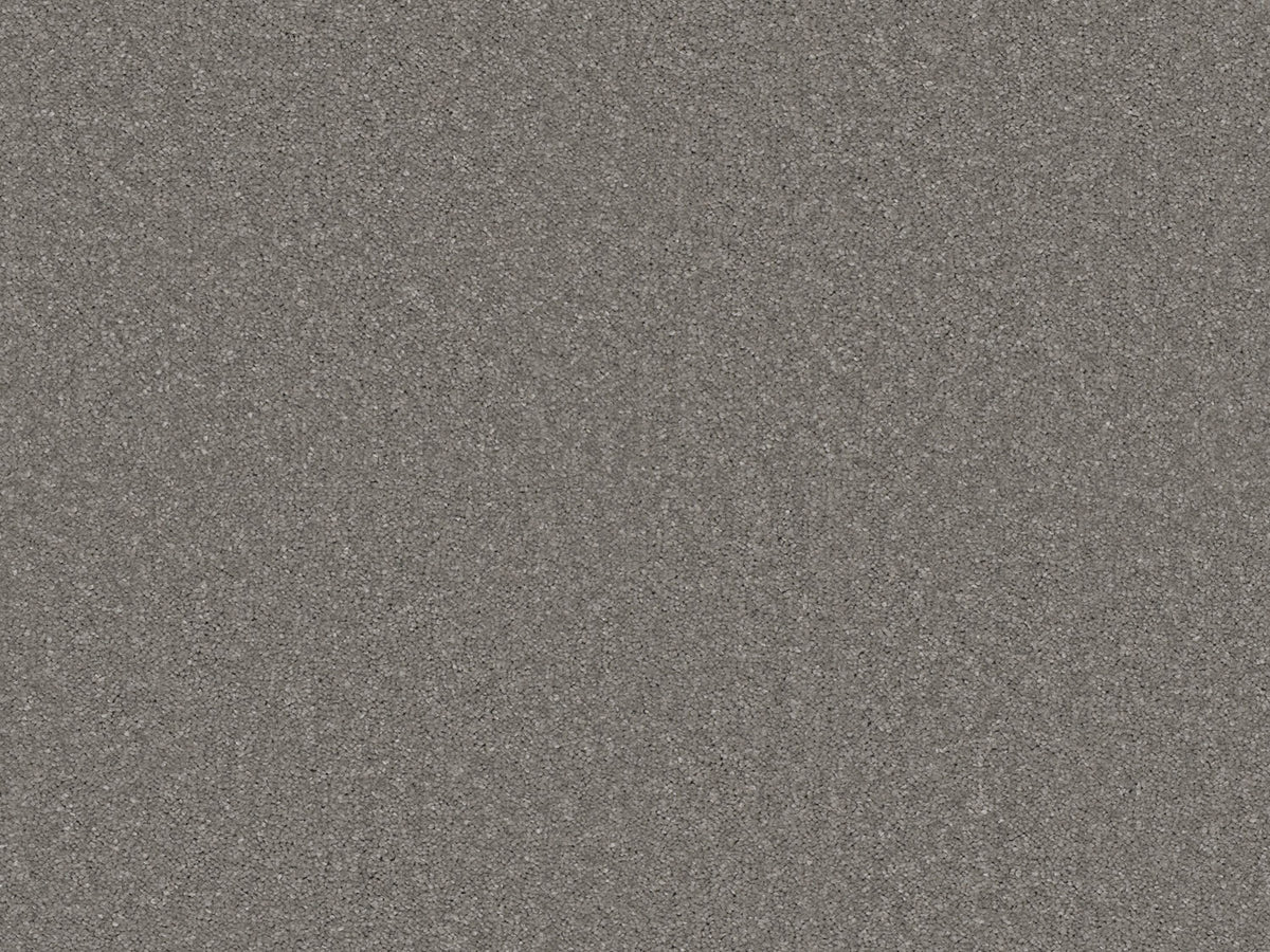 Chic Carpet