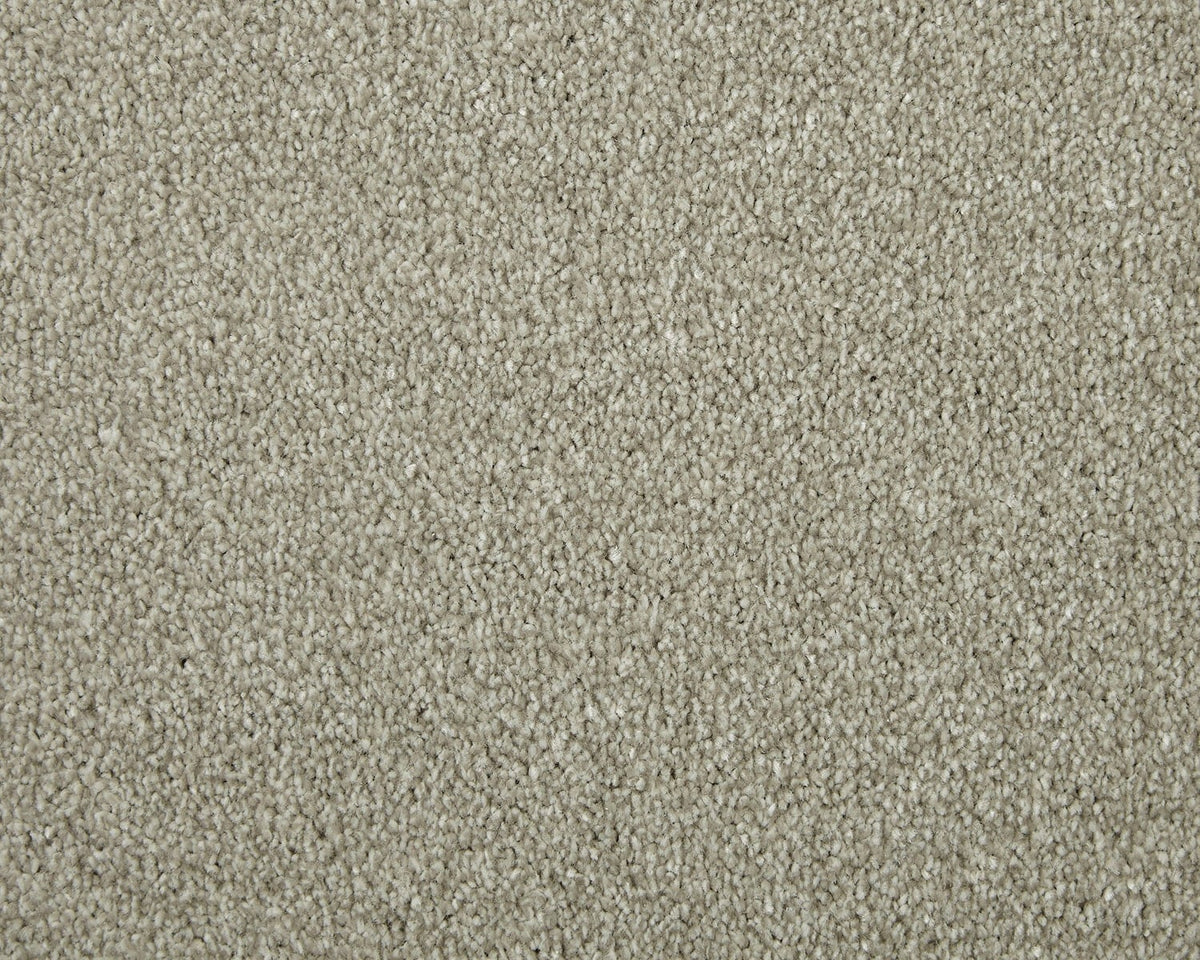 Trojan Elite Carpet