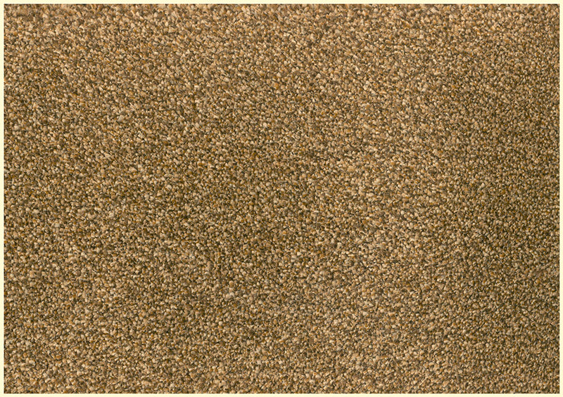 Verona Carpet