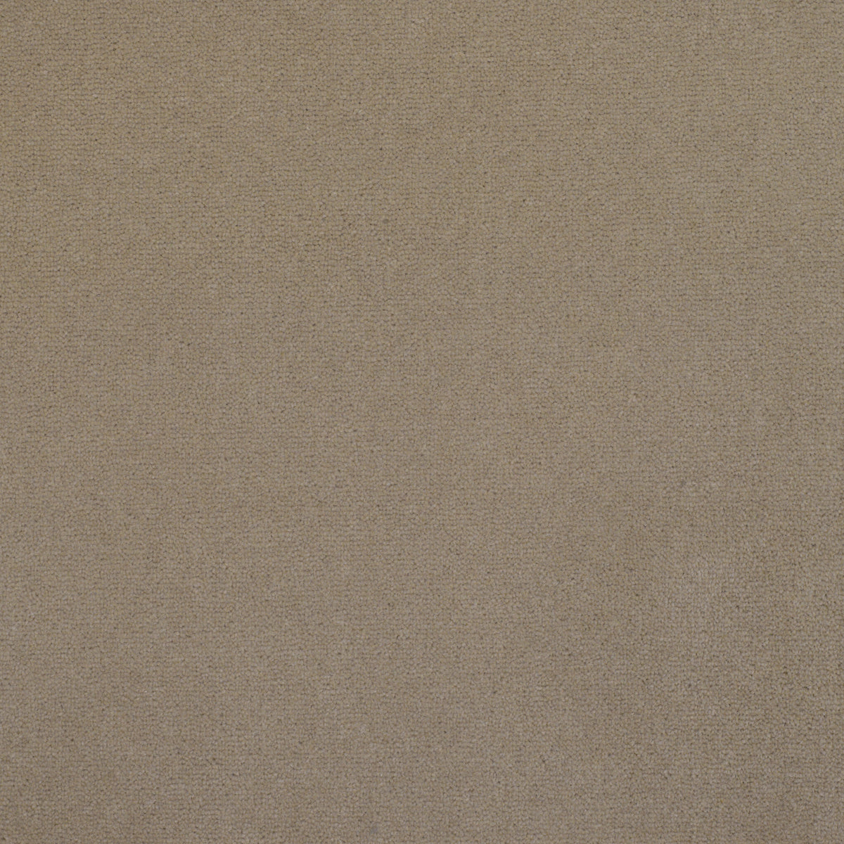 Royal Velvet Carpet