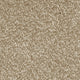 Septimus Carpet