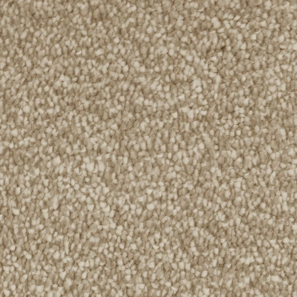 Invictus Severus Carpet