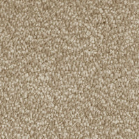 Invictus Severus Carpet