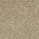 Invictus Severus Carpet