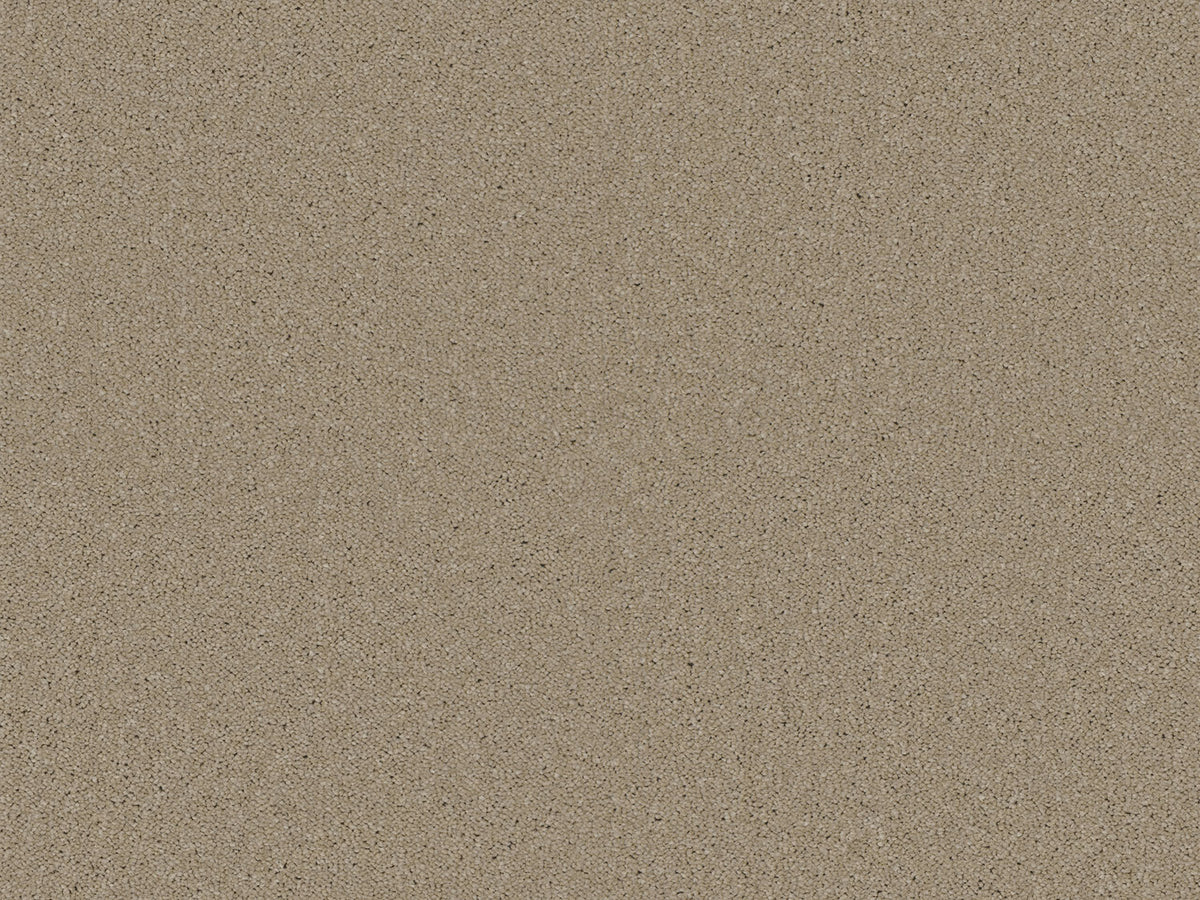 Chic Carpet