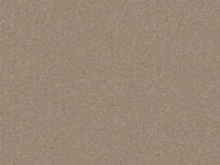 Chic Carpet